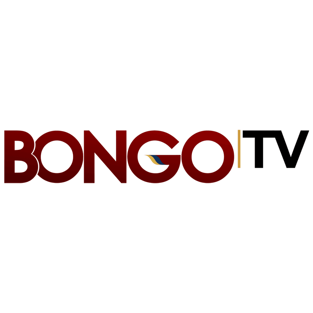TV channel
