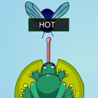 Word Frog
