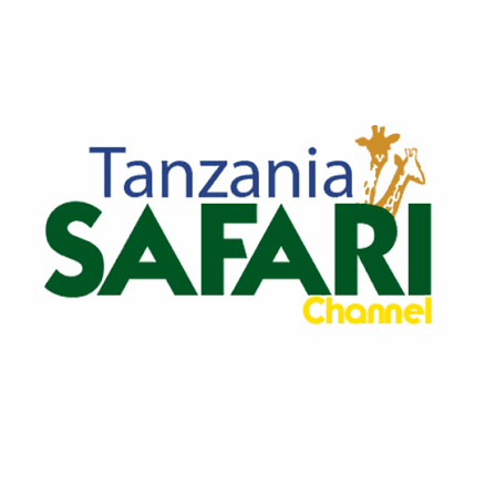 Safari Ch